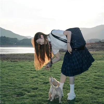 爱的归宿 在线观看